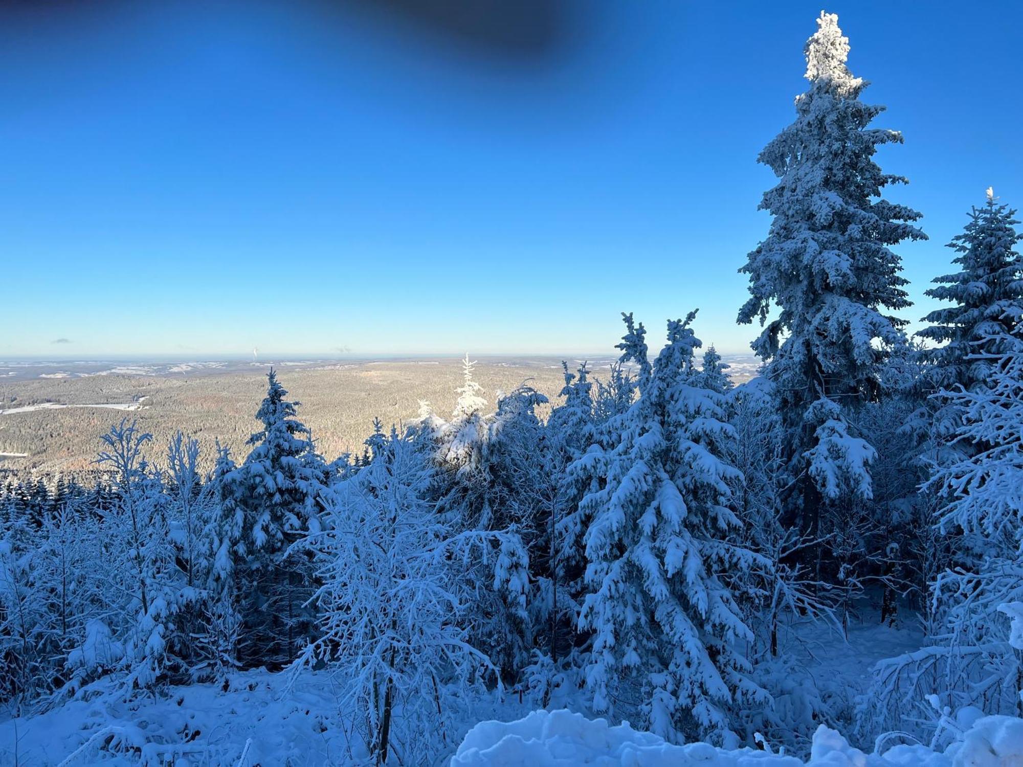 Gasthof Und Pension Hammerschaenke Wildenthal Buitenkant foto