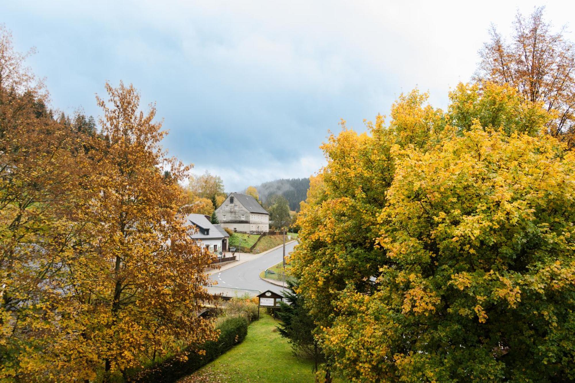 Gasthof Und Pension Hammerschaenke Wildenthal Buitenkant foto